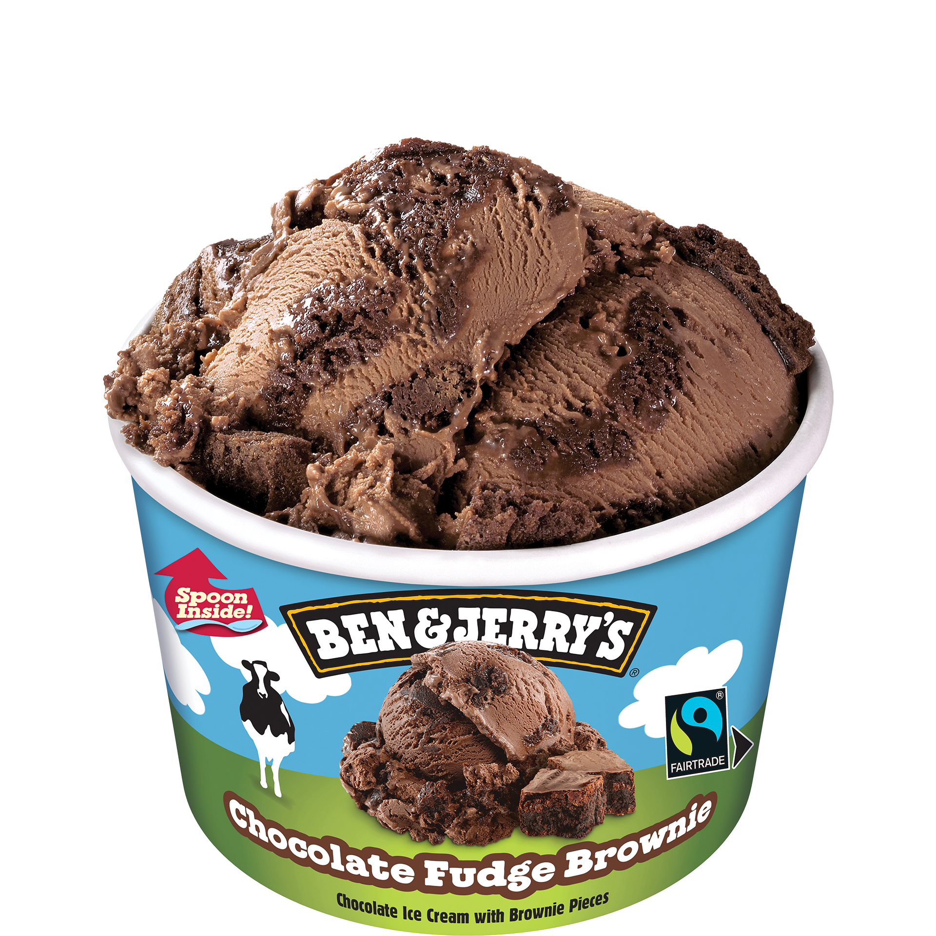 Chocolate Fudge Brownie Ice Cream - Mini