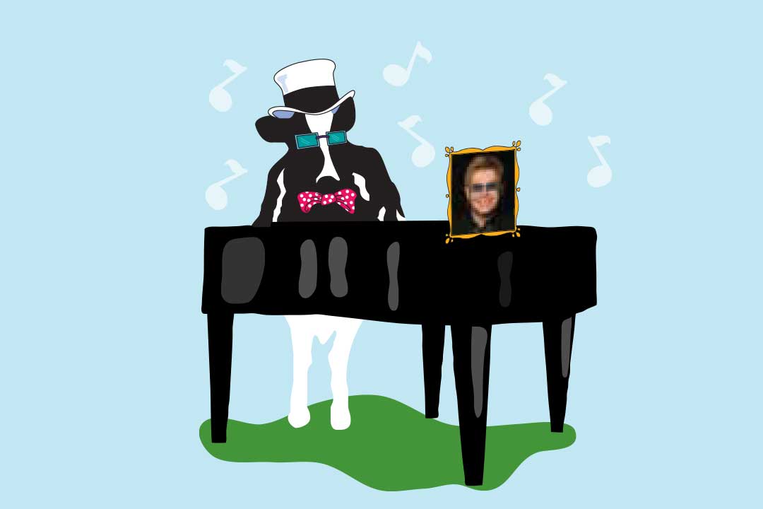 Woodie de koe met een piano en foto van Elton John